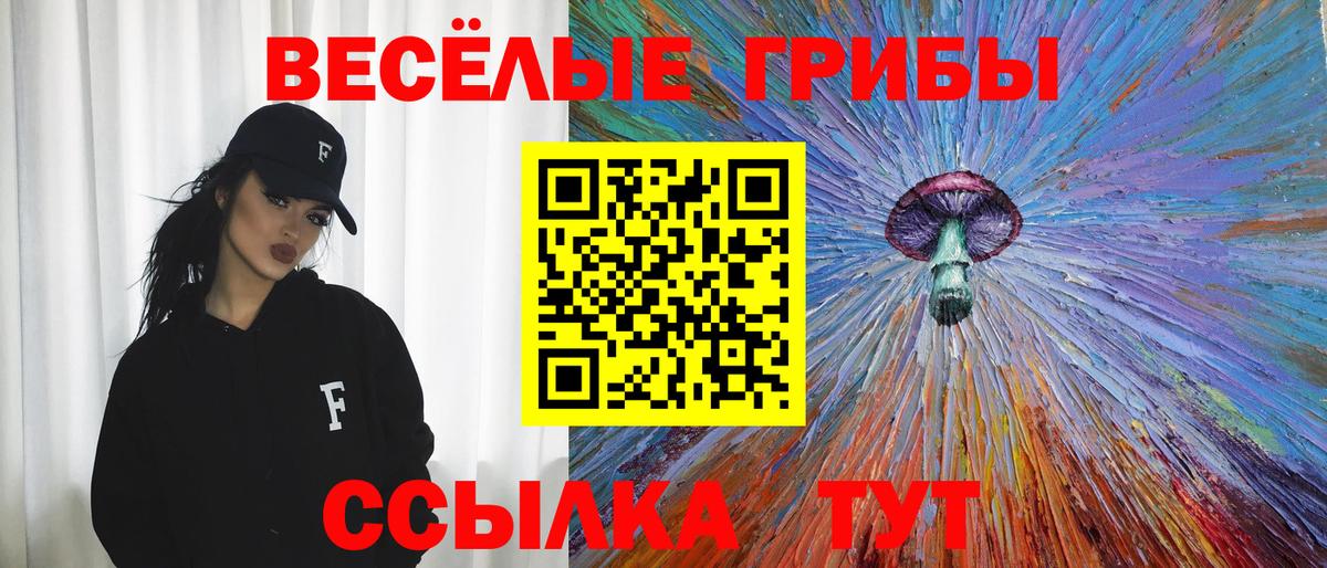 Ярославль  Псилоцибиновые грибы мухоморы  Вход с VPN 