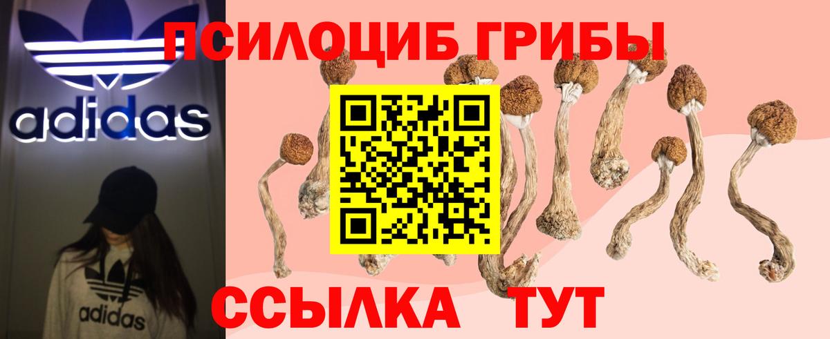 Галлюциногенные грибы GOLDEN TEACHER Ярославль